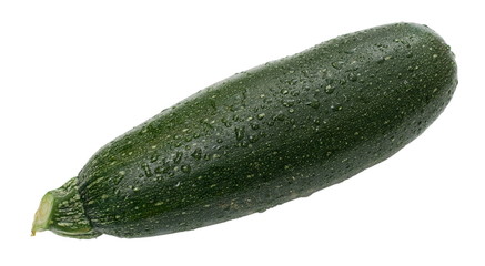 One fresh, washed whole zucchini (Cucurbita pepo)