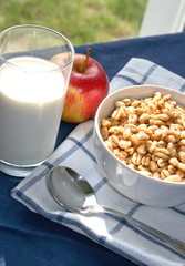 Healthy breakfast with cereals, milk and apple