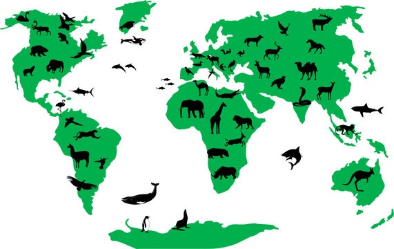 Animal World Vector File