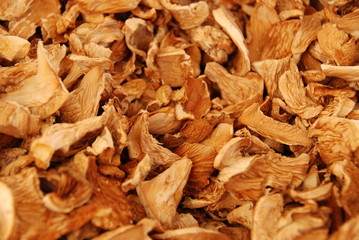 Girolles