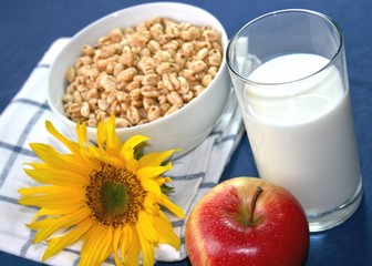 Apfel, Cornflakes, Milch zum Frühstück