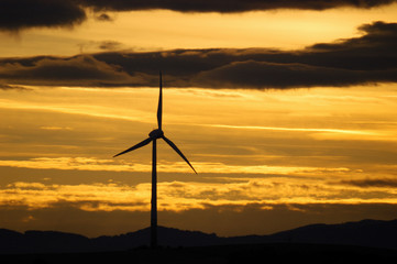 Obraz premium Windrad im Abendhimmel