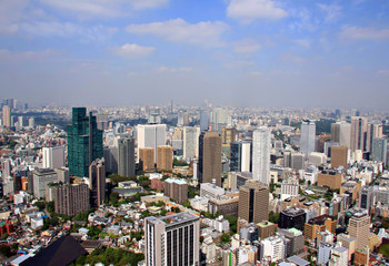 Fototapeta na wymiar Tokyo skyline