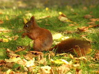Herbstliche Stimmung © André Ehrhardt