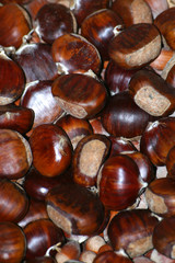 Frutti d'autunno
