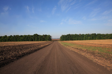 Fototapeta na wymiar Road of the farmer