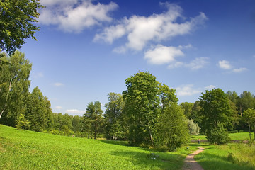 path to green trees
