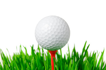 Golf ball on tee isolated