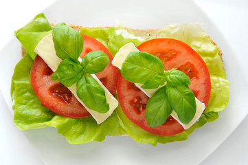 The sandwich of lettuce, tomato, camembert  and fresh basil