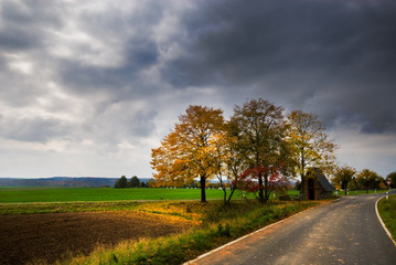 Obraz premium a road through an autumn landscape in germany