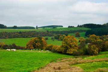 Fototapeta na wymiar Piękna jesień krajobraz kraju w Belgii (Ardeny)