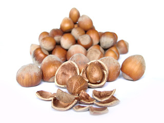 hazelnut