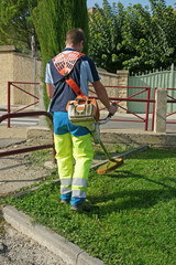 entretien espace vert © Pictures news