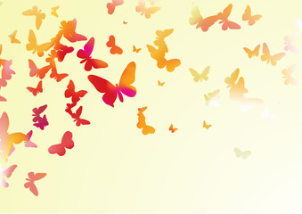 Fototapeta premium many colorful butterflies of different forms flying around