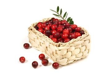 Preiselbeeren im Korb