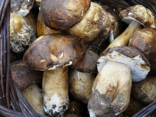 panier de cepes