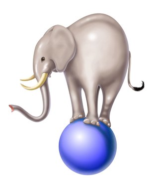 elefante in bilico