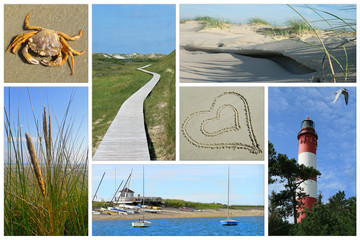 Amrumer Impressionen