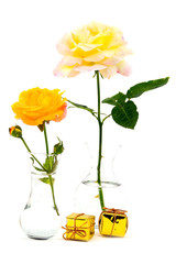 Yellow roses and gifts isolated on white background