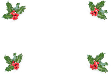 holly in four corners