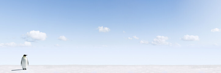 Fototapeta premium Penguin in a snow landscape, panorama image