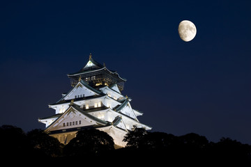 Fototapeta premium Zamek w Osace
