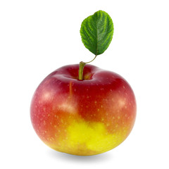 apple with leaf