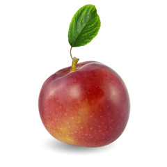 apple with green leaf