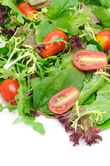 Background of salad leaves and cherry tomatoes with copyspace