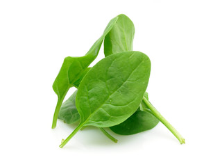 Baby spinach leaves in isolated white background
