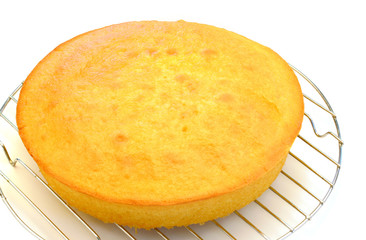 One vanilla cake layer cooling isolated on white