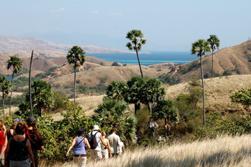 Groupe de touristes sur l'île de Comodo