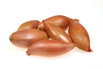 Shallot or scallion or griselle - vegetables similar to onion