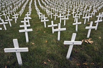 White crosses - anti abortion protest