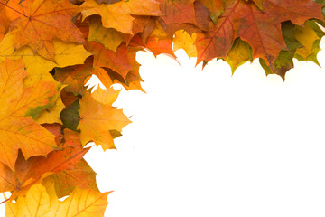 Naklejka na ściany i meble composition of autumn leaves on white background
