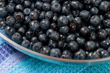 food series: ripe bilberries in the glass bowl