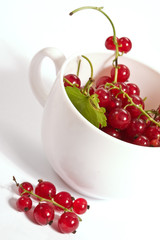 food series: tasty ripe and juicy red currant