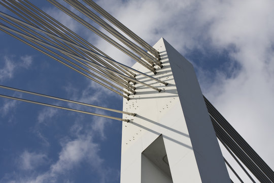 Fototapeta Stahlseilbrücke in Mannheim