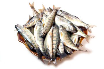Fresh river fish on white background.