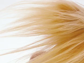 Foto auf Acrylglas Friseur blond