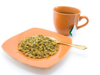 Herbal tea and chamomile on white background