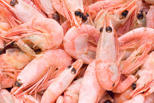 Boiled unpeeled prawns. Prime macro lens shot