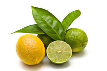 Green limes and lemon isolated on white