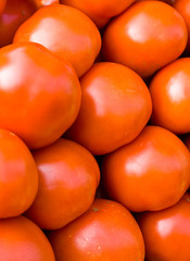 Close up of delicious tomatoes