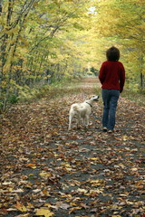 A women walks her dog in the fall foilage