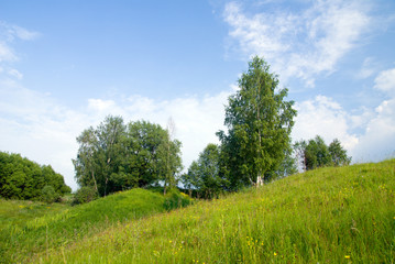 landscape with trees grass and blue sky