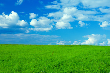 idillic summer landscape