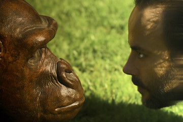 Fototapeta na wymiar a man and an ape facing each other
