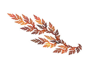 Fractal leaf colored in autumnal gamma isolated over white