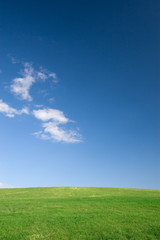 Empty green meadow and blue sky with few clouds